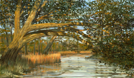 Sunset Down Sterling Creek